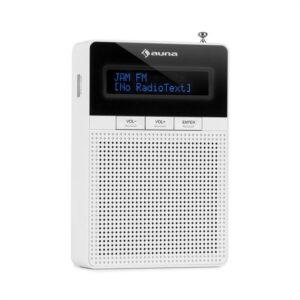 Auna DigiPlug FM