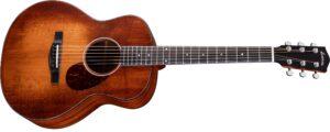 Eastman ACTG1-CLA